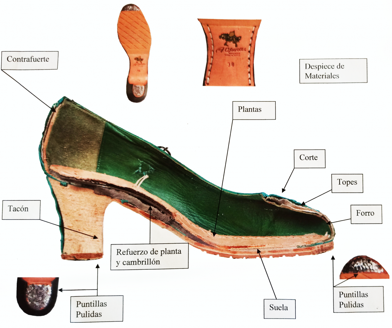 Shoe interior - sketch